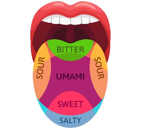 Disodium ribonucleotides