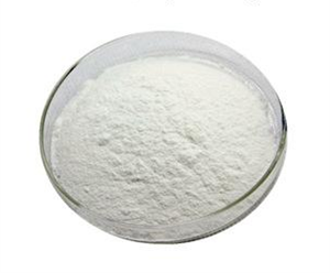 Microcrystalline Cellulose CAS：9004-34-6